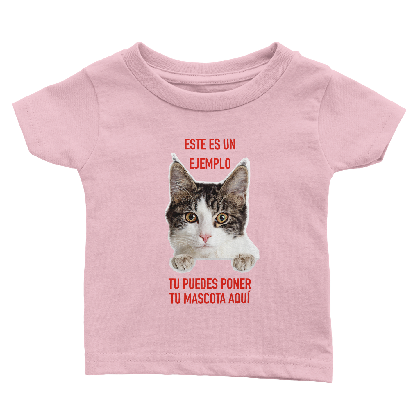 12eb96d1-0ba7-415a-99a2-b49de82ce363