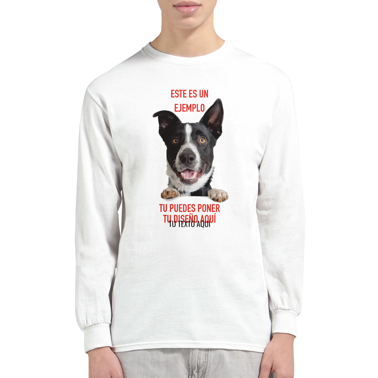 bab3e3c7-8a9e-44af-928d-90c3331ff826